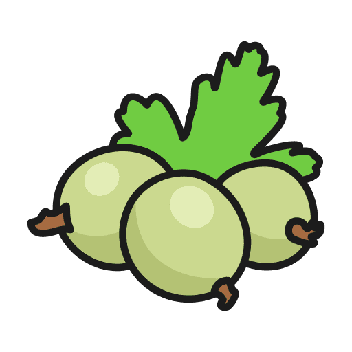 Amla Icon